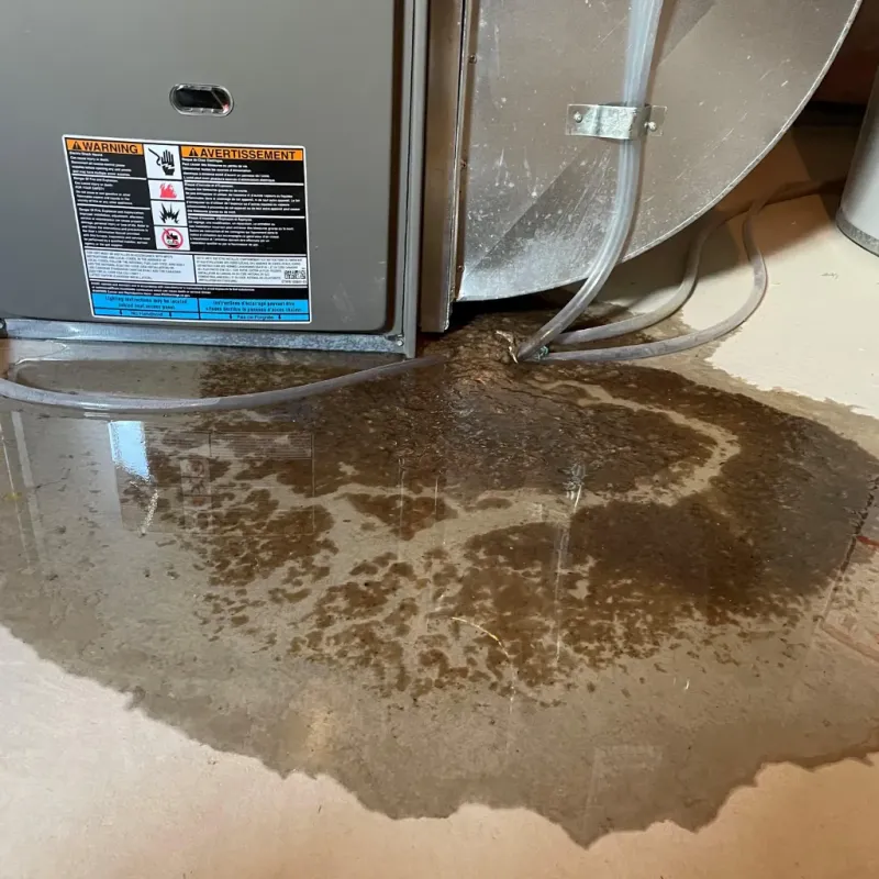 Appliance Leak Cleanup in Kaanapali Landing, HI