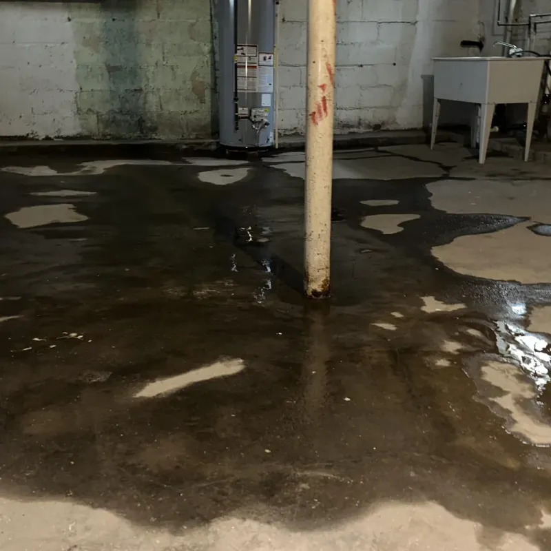 Emergency Water Extraction And Removal in Kaanapali Landing, HI
